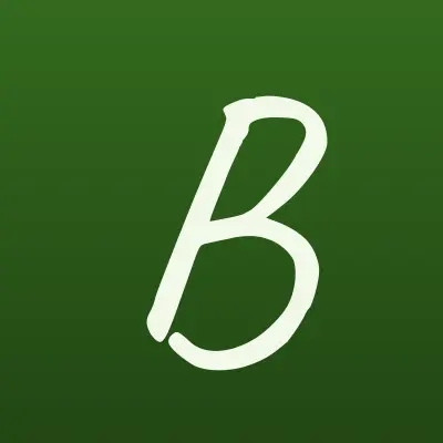 Бакшеев, лого-визитка