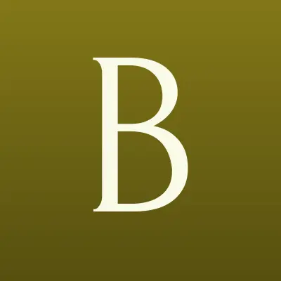 Boxpolis, страховой центр, лого-визитка