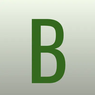 Бухгалтерская компания, ИП Висицкая Е.Е., лого-визитка