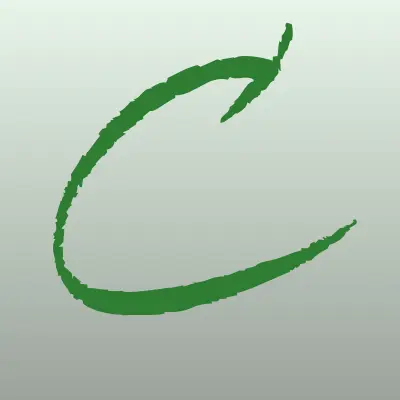 Caraudio, салон автозвука, лого-визитка