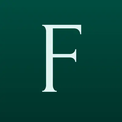FastMoney, микрофинансовая организация, лого-визитка