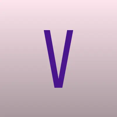 Вектор Времени